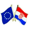 Custom-made European Union Austria Friendship Flag Badge Flag Pin