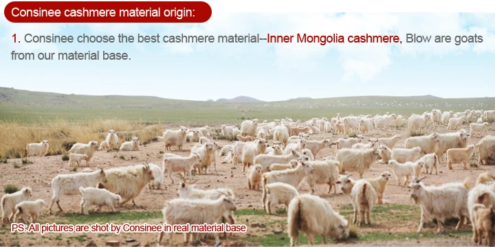 Dyed for your own colors Consinee brand custom dye cashmere yarn