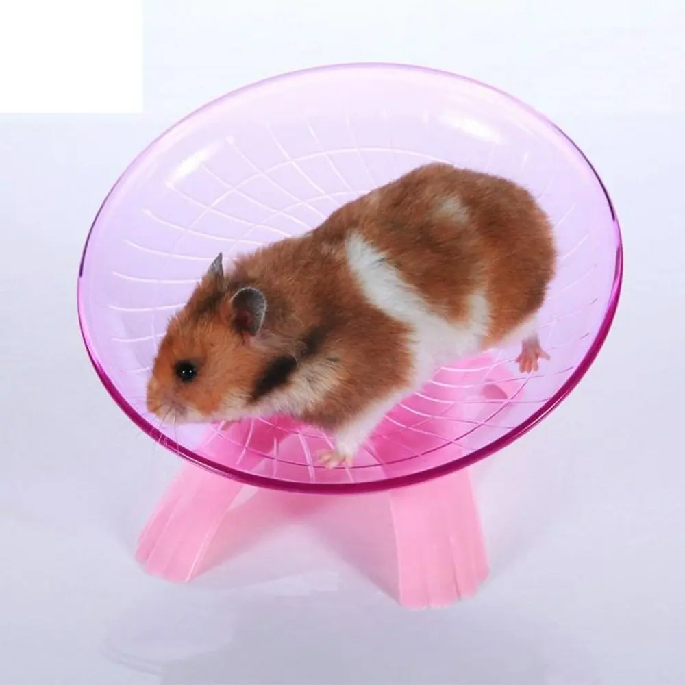 Cheap Exercise Wheel For Guinea Pigs, find Exercise Wheel For Guinea