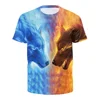 Wholesale Cheap 3D Print Clothes Men's Short Sleeve polyester T-Shirt