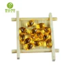 Herbal Supplement Wholesale Reishi Extract Oil 500mg Ganoderma Lucidum Spore Oil for Skin