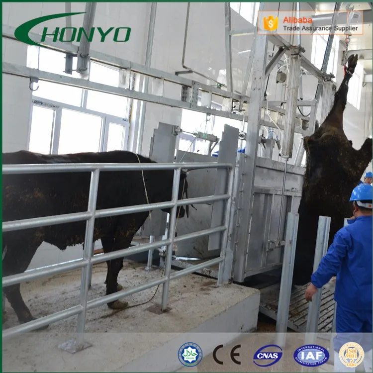 Customized Cattle And Sheep Slaughter House Equipment With Cold Room Buy Customized Cattle Slaughter Equipment Cattle And Sheep Slaughter