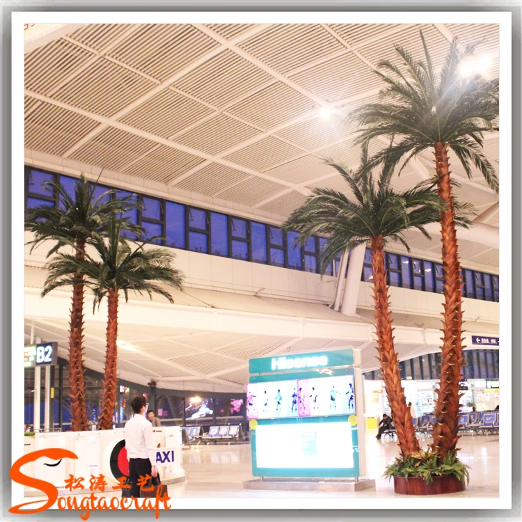 Dubai Palm Tree Plants Palm Trees For Sale Buy Palm Tree Plants,Palm