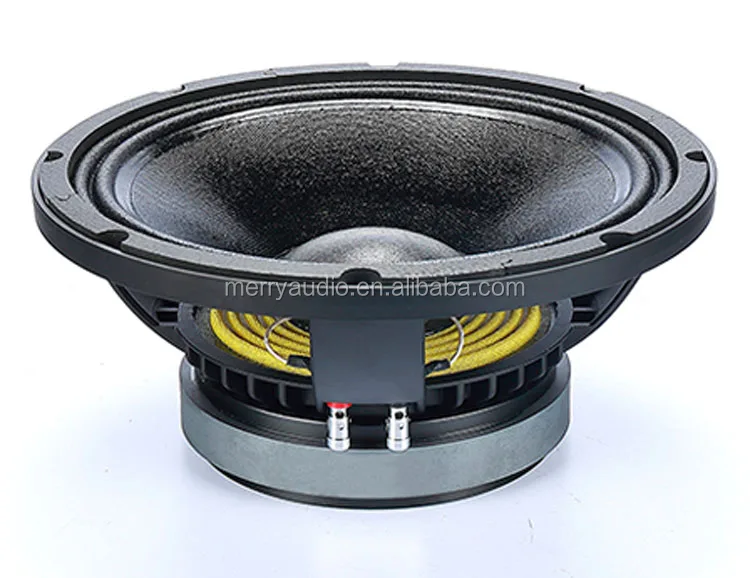 speaker 10 inch mid low