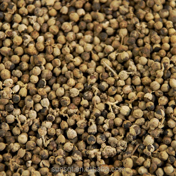 high quality chasteberry / vitex agnus castus ext