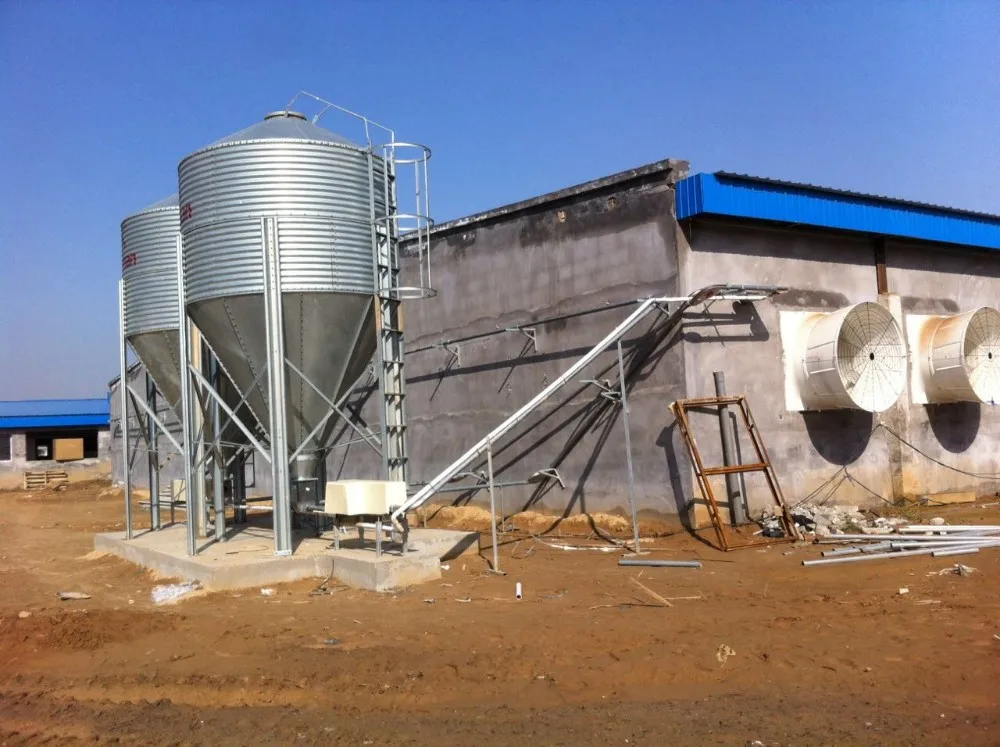 Hight Quality Auger Feeding Systems For Pig Farm In Low Price Buy