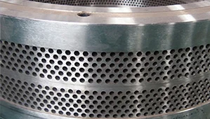 paste-pic-dp_uuid_4xp8e