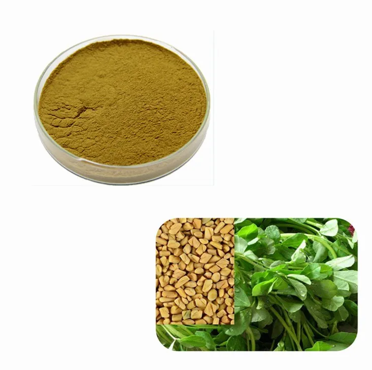 Pharmaceutical Grade Fenugreek Seed Extract With Favorable Price Buy Pharmaceutical Grade