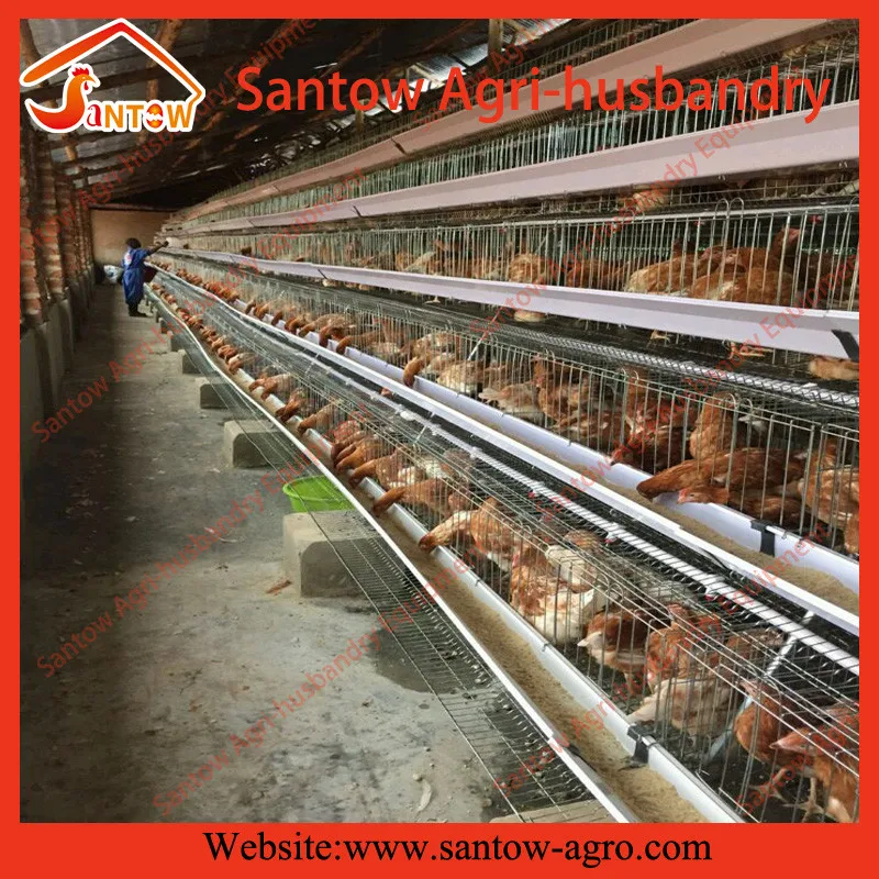 Automatic chicken cages hot galvanized poultry cage cheap price battery cage design for Uganda Nigeria Kenya Africa (7).jpg