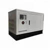 China Supplier Water Cooled 7kw 10kw 12kw 15kw 20kw Small Natural Gas Generator