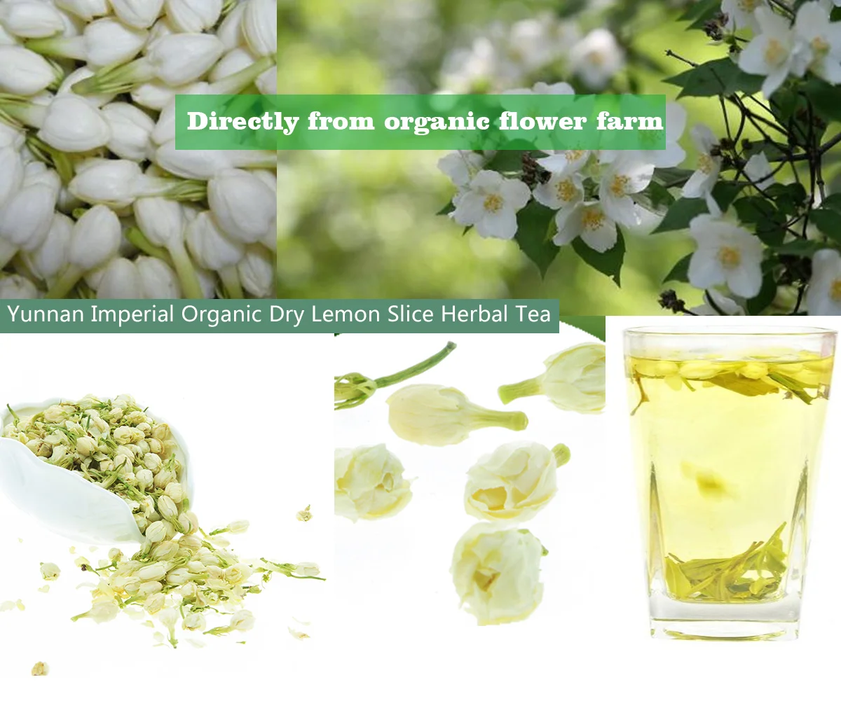 Indonesia Chinese Pure Dried Jasmine Buds Flower Tea Prices Jasmine