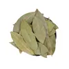 Single Spices Herbs Laurel Leaf Dried Bay Leaves