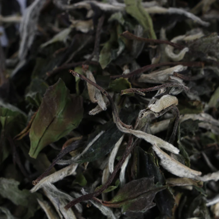 Wholesale high quality dry Loose white tea leaves - 4uTea | 4uTea.com