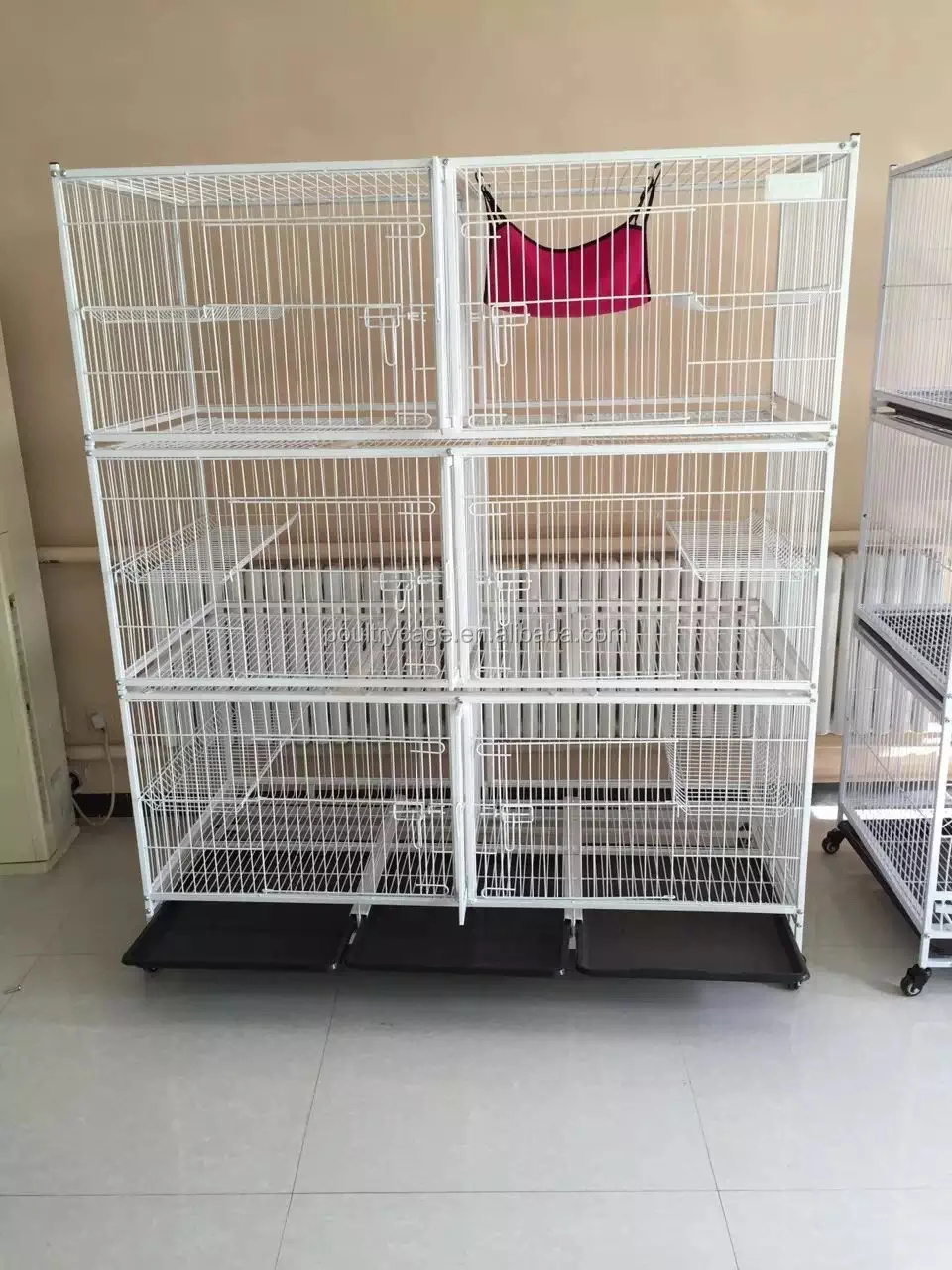 Plastic Training And Carrier Box For Sale Buy Pigeon Box,Pigeon