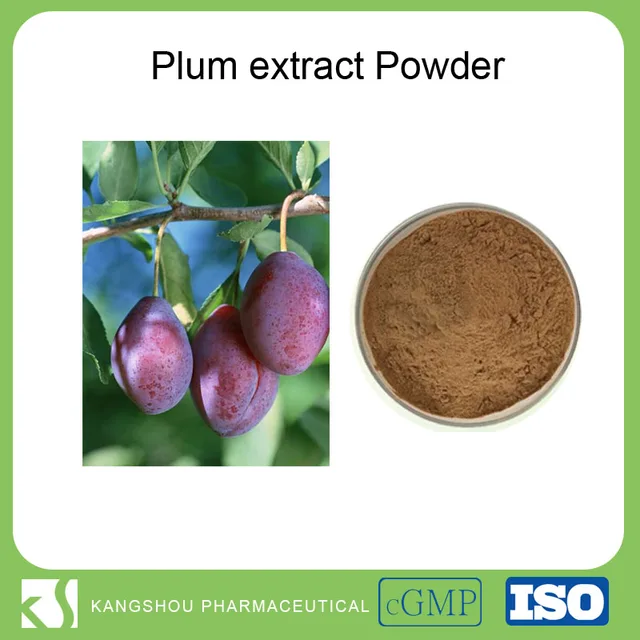 100% natural plum powder black plum extract dried plum extract