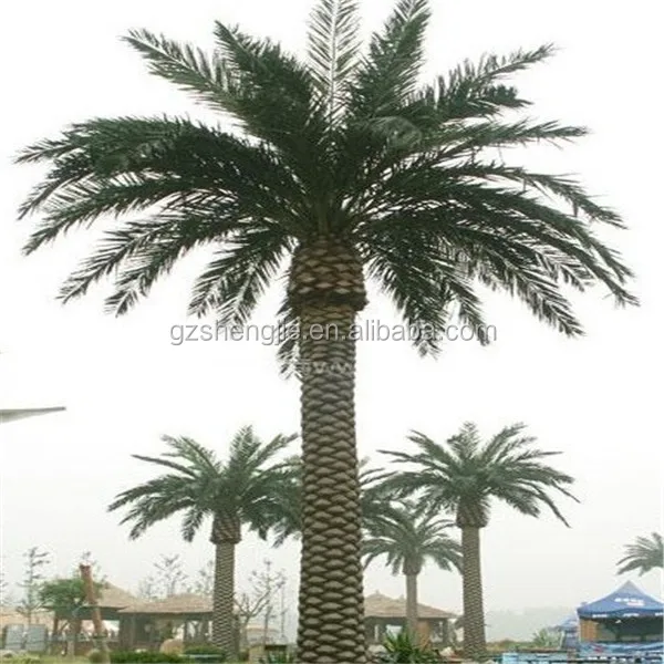 High Quality Fiber Glass Artificial Palm Tree Special Large Outdoor