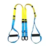 High quality Professional Fitness suspension trainer,resistance training system,suspension trainer