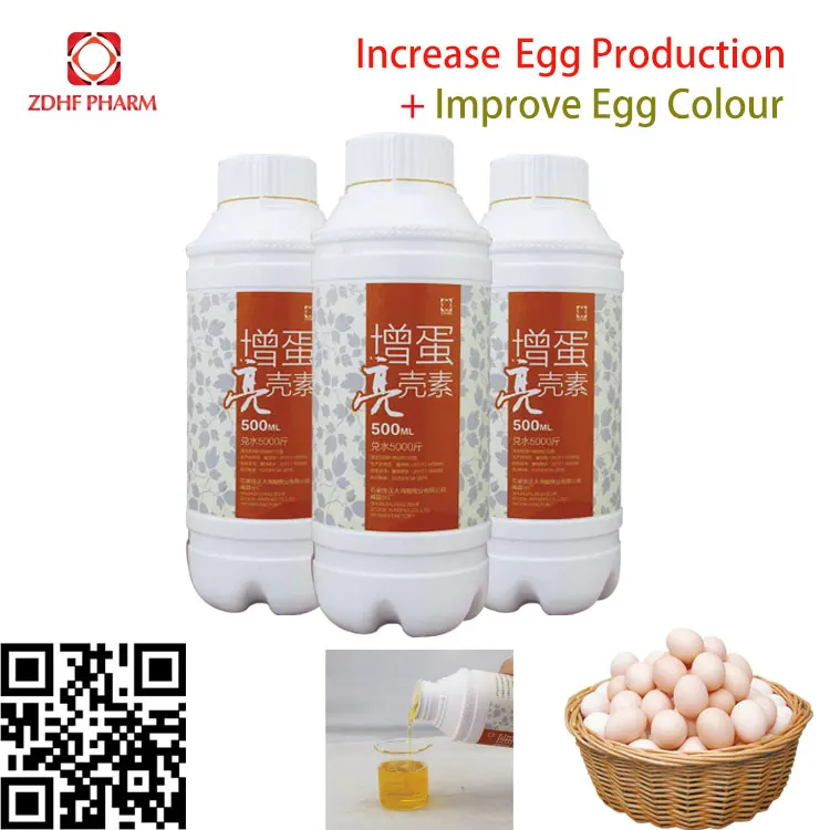 B1-Egg-booster-.jpg