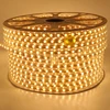 220V Waterproof IP68 Commercial warm white Double row LED Strip Light 2835