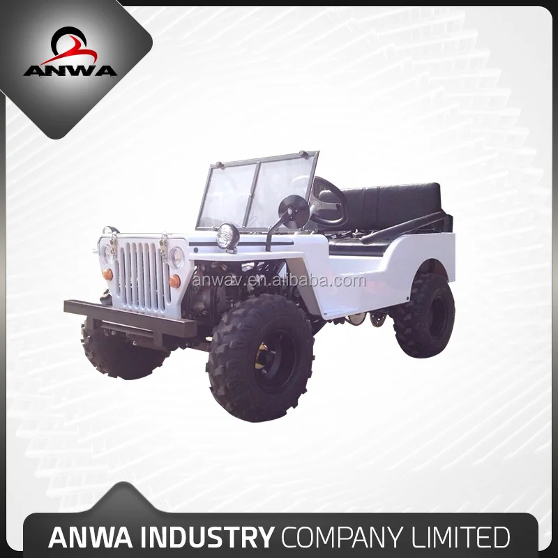 New Design 110cc Mini Willys/Mini Moke/Mini Rover for Sale