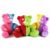 Custom Lovely LED Plush Tedddy Bears Light Up Stuffed Two Colors Stuffed Teddy Bear for Kids