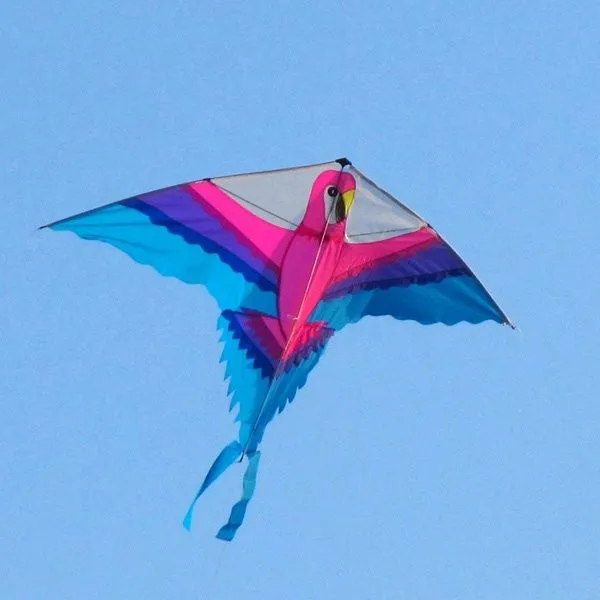 parrot kite.jpg