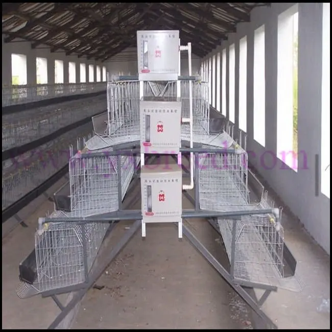 low price advanced automatic broiler poultry farm house design ...