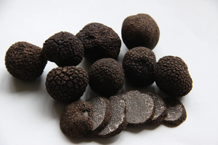 China Wild Fresh Black Truffle Mushroom For Sale Buy Tuber Indicum