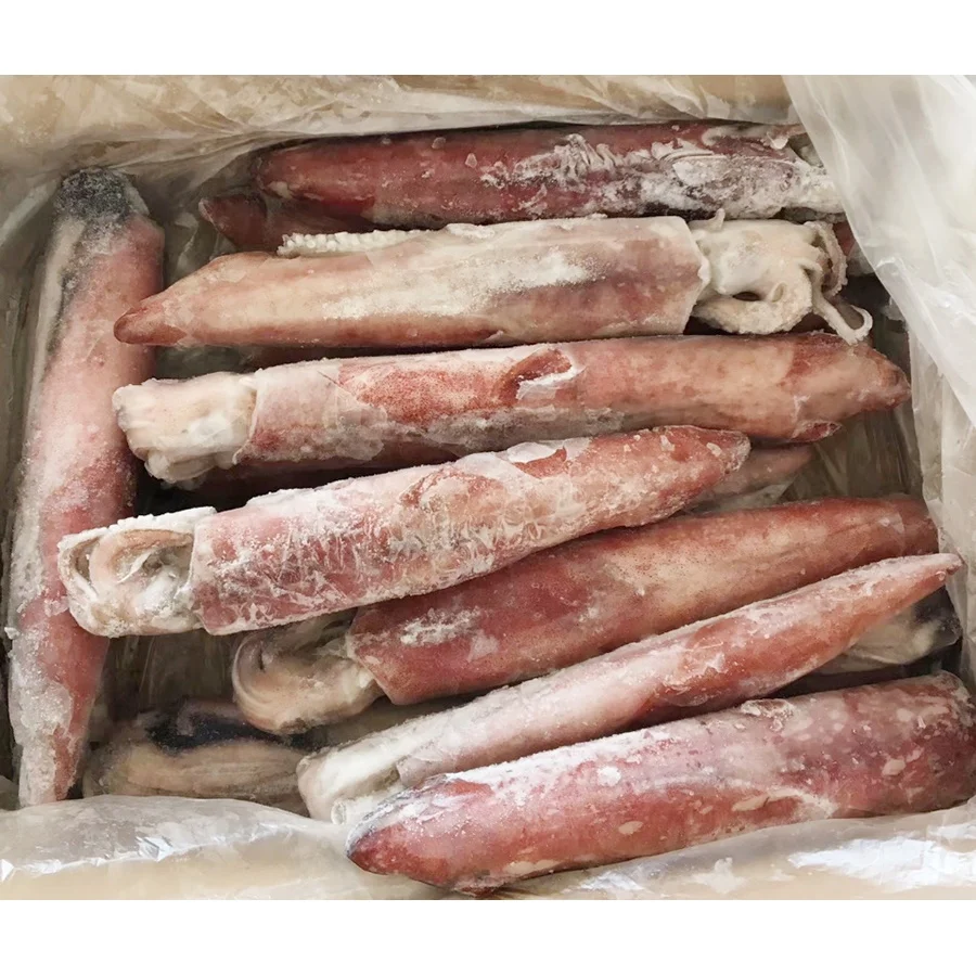 
Loligo chinensis sea frozen squid price 8-13cm 