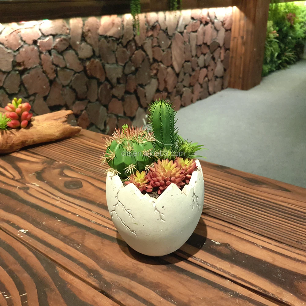 人工プラスチック屋内鉢植え家の植物サボテン販売のため Buy 鉢植えサボテン 屋内サボテン サボテン家の植物 Product On Alibaba Com