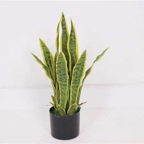 Manufacturer comfortable design display artificial plant wall decorative