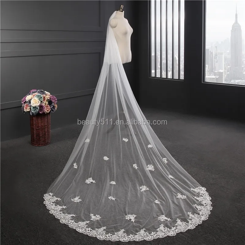 2020 Hot Sale Lace Wedding Veils Appliqued Edge 3m Long Cathedral Length Bridal Veil With Comb For Women Hair Accessories Wedding Birdcage Veil Wedding Veils Online From Zaomeng321 49 02 Dhgate Com