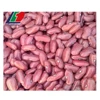 red and white speckled kidney beans, red kidney beans size 180-200, big size red kidney bean