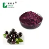High-quality Imported Anti-oxidant Brazilian Acai berry Powder Extract with Anthocynidins 1--10% and Polyphenols 1--10%