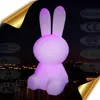 CE Color Changing Led animal, lovely rabbit shape decoration Lamps