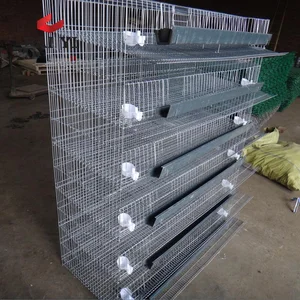 Cages Of Quails For Sale In Chennai Wholesale Suppliers Alibaba