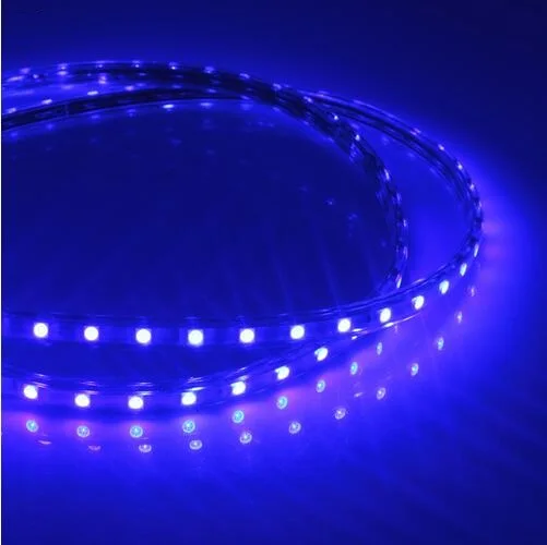 big sale High Voltage 220V Led Light Strip SMD5050
