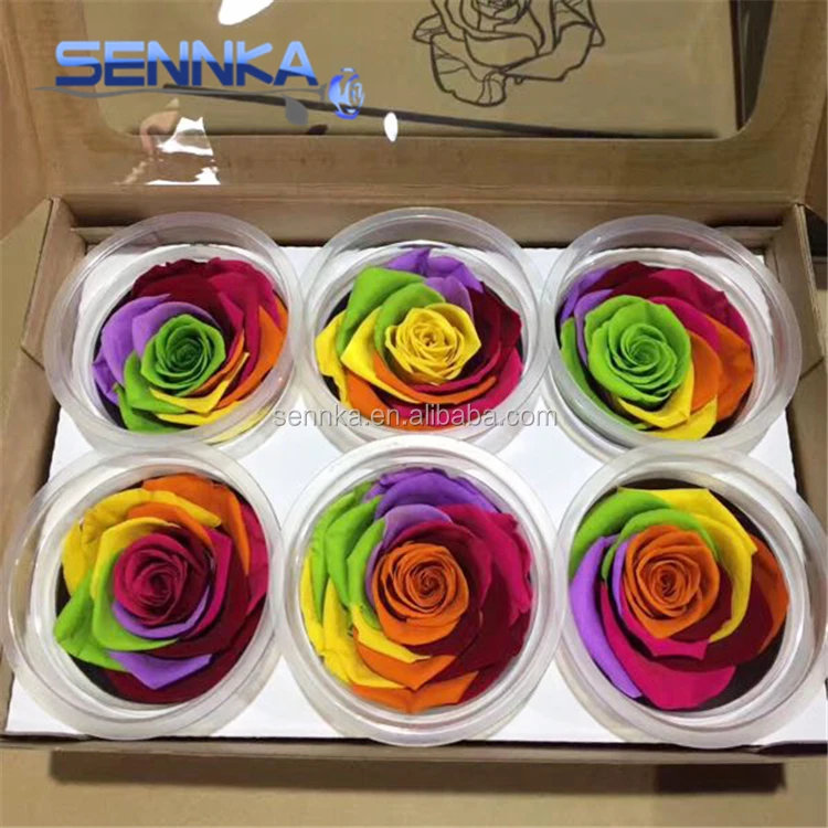 preserved rose 0813 (3)