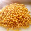 /product-detail/cheap-price-for-canned-sweet-corn-best-canned-yellow-kernel-corn-factory-60416411395.html