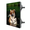 Levt kiya lighting p8 led screen i would like to know more about your module hs code for display