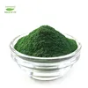 Spirulina powder high protein bulk price