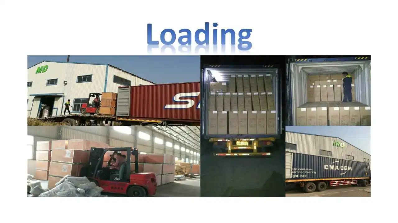 Loading.jpg