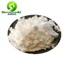 polygonum cuspidatum powder/polygonum cuspidatum root extract/ 501-36-0