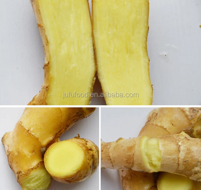 ginger3