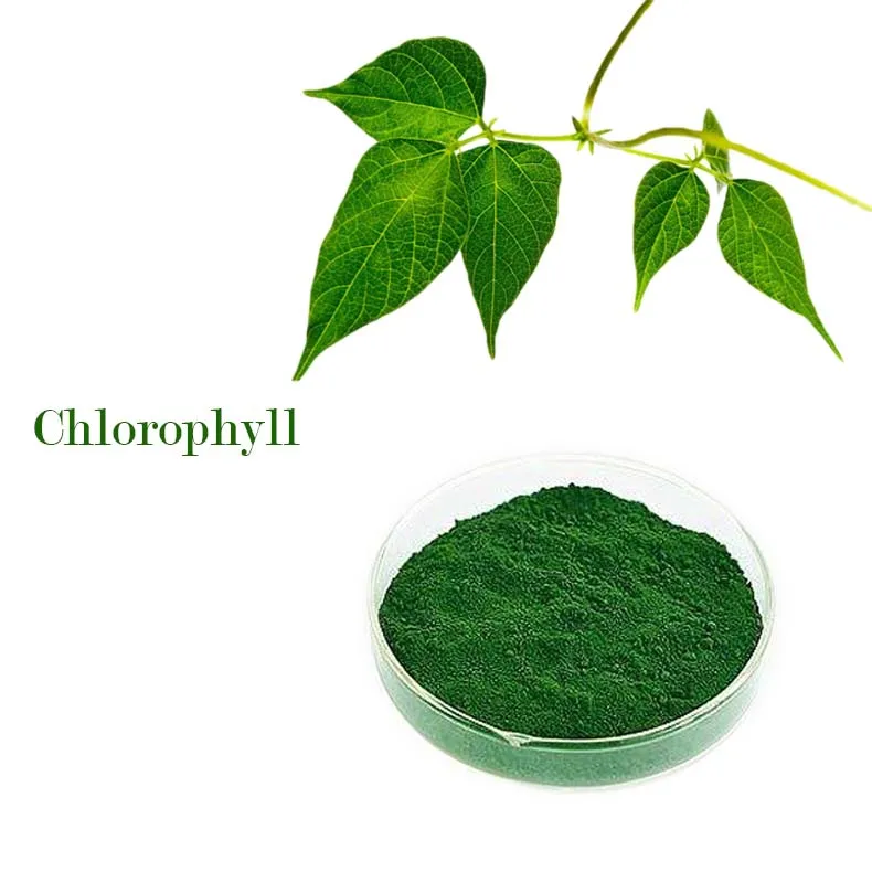 High Quality Chlorophyll Supplement /chlorophyll Powder/ Dark Green