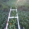 Automatic Aquatic Weed Cutting Machine/ River Cleaning Boat / Water Grass Harvester for Sale