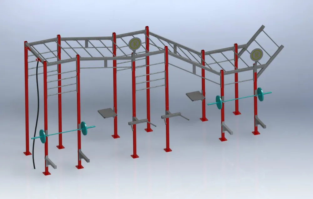 design-dynamic crossfit rig-Brooks.JPG