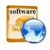 Develop Customize Software Service