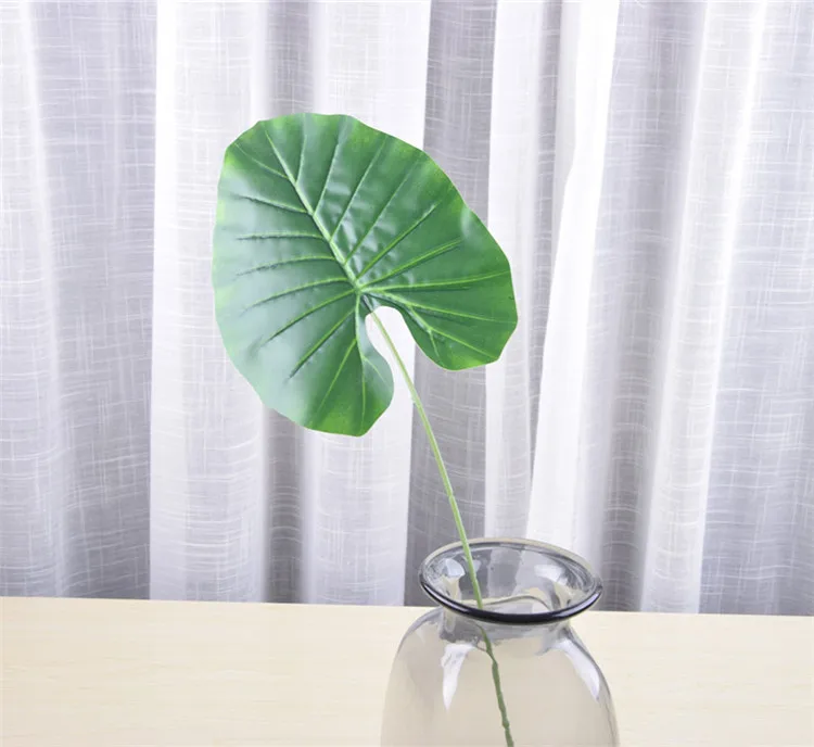 monstera (15).jpg