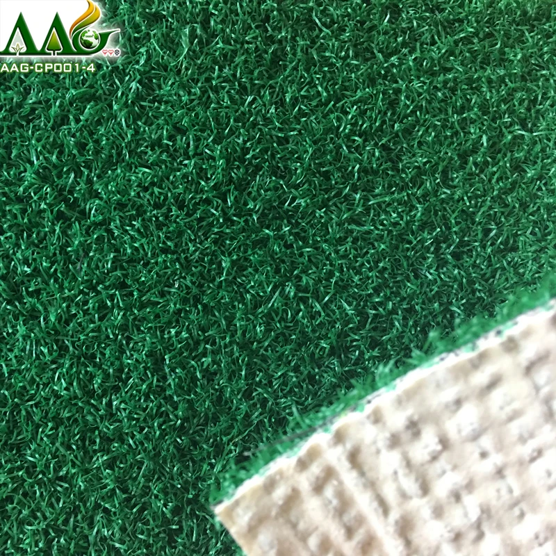 2018-AAG-CP001-4-6